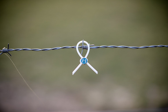 0C7A6118